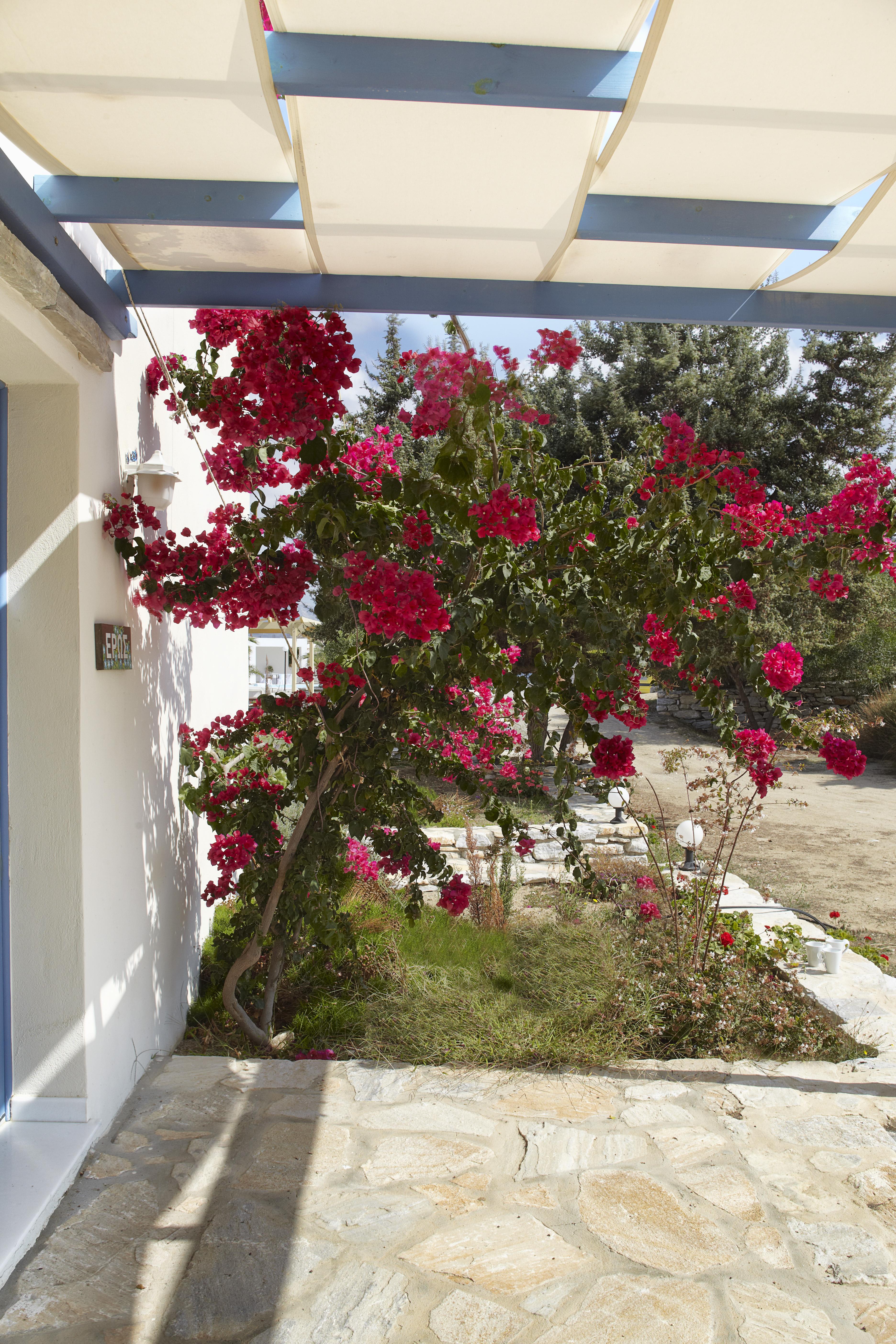 Kedros Villas Agios Prokopios  Ngoại thất bức ảnh