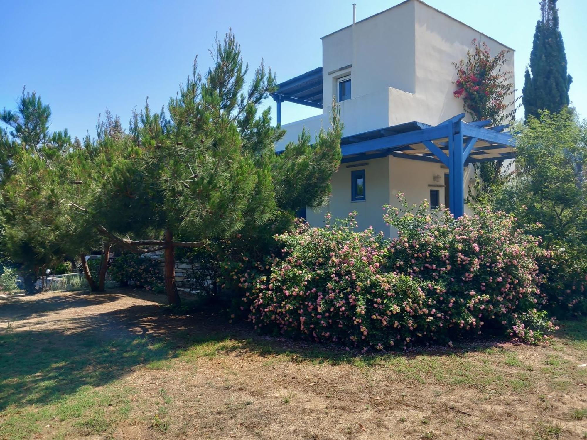 Kedros Villas Agios Prokopios  Ngoại thất bức ảnh