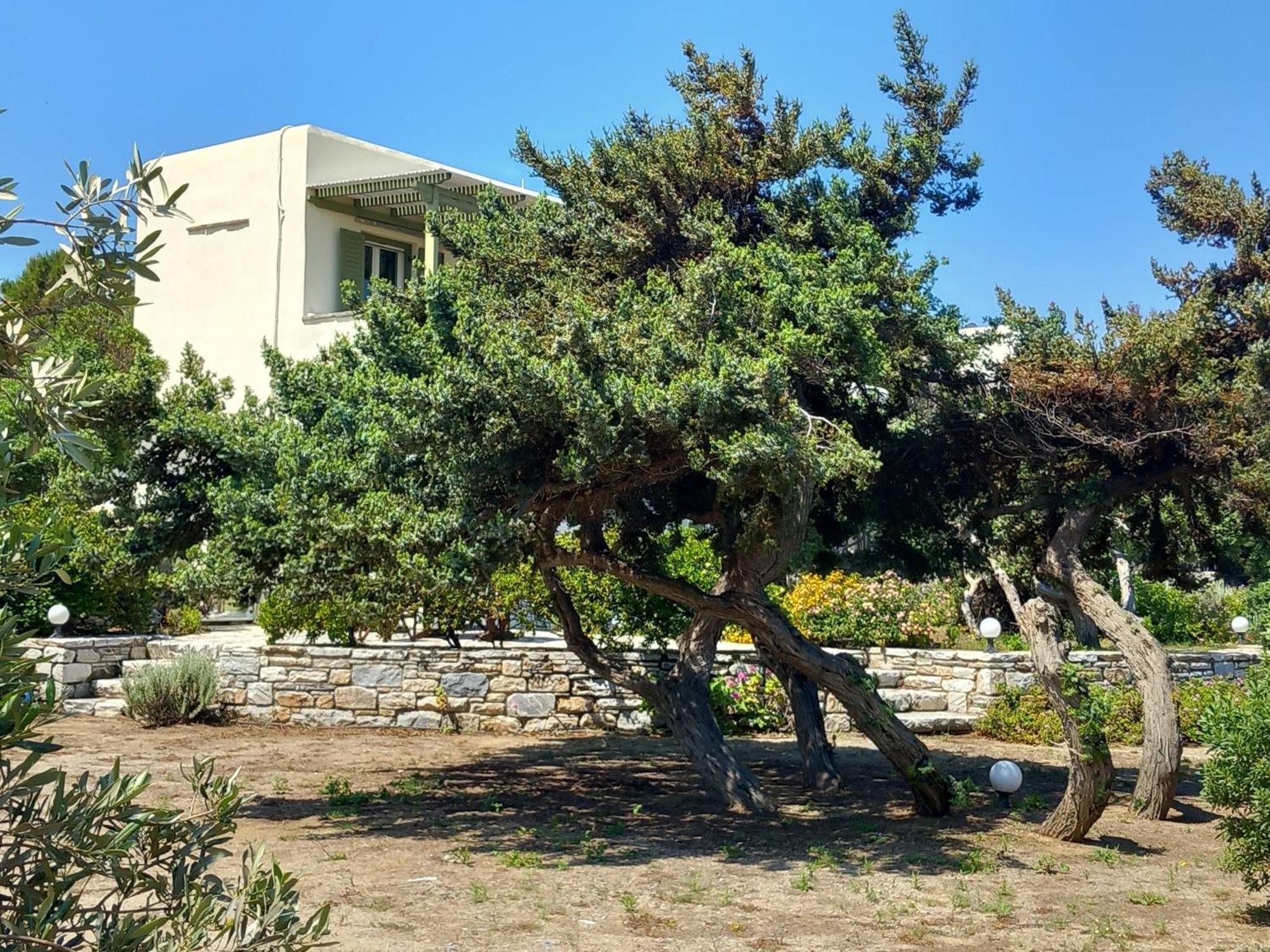 Kedros Villas Agios Prokopios  Ngoại thất bức ảnh